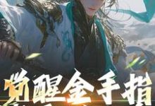 小说完整版《觉醒金手指,我要做人皇》免费阅读-红梅文学
