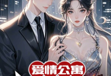 《爱情公寓:我的传统女友》沈星辰小说免费阅读完整版-红梅文学