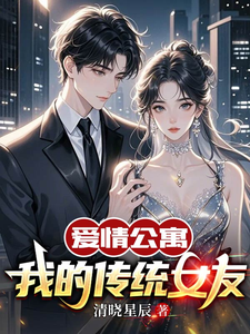 《爱情公寓：我的传统女友》沈星辰小说免费阅读完整版