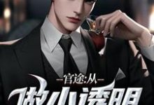 官途：从做小透明开始最新章节，官途：从做小透明开始免费阅读-红梅文学