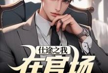 小说《仕途之我在官场如鱼得水》完整版章节免费阅读-红梅文学