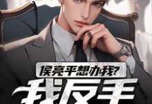 完结版《侯亮平想办我?我反手举报他!》章节阅读-红梅文学