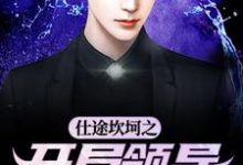 完整版《仕途坎坷之开局领导被祭天》小说免费阅读-红梅文学