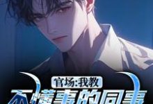 完结版《官场:我教不懂事的同事如何当官》章节目录在线阅读-红梅文学