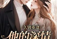 许雾时琛小说免费阅读完整版-红梅文学