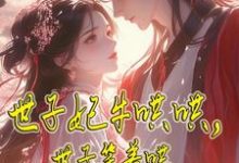 封延墨卫芷雪完整版《世子妃牛哄哄,世子笑着哄》小说免费阅读-红梅文学