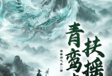 青鸾志:扶摇小说的免费阅读版本在哪里可以找到?-红梅文学