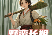 小说《野蛮长姐有点怪》完整版在线章节免费阅读-红梅文学