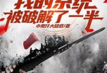 寻找能够免费阅读亮剑:我的系统被破解了一半小说的平台-红梅文学