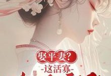 完整版《娶平妻?这活寡我不守了!》小说免费阅读-红梅文学