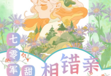 求相错亲嫁对人,七零军婚甜蜜蜜小说的全文免费阅读链接-红梅文学
