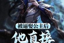 完整版小说《被逼娶公主后,他直接坐了皇位》免费阅读-红梅文学