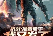 苏辰小说《抗战:报告老李,我又发了笔小财》完整版免费阅读-红梅文学