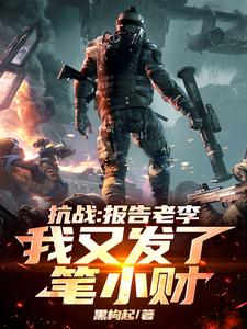 苏辰小说《抗战：报告老李，我又发了笔小财》完整版免费阅读