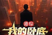 哪里能找到港综:我的卧底遍布香江小说的最新更新和免费章节?-红梅文学