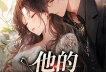 《他的蓄意引诱》小说大结局免费试读 司向淮乌椿小说-红梅文学