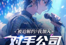 《被迫解约？我加入对手公司成天王》完整版小说免费阅读-红梅文学