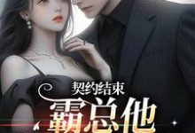 哪里能找到契约结束,霸总他跟我玩套路小说的全部章节?-红梅文学