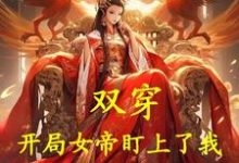 《双穿:开局女帝盯上了我》小说免费阅读完整版-红梅文学