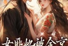 女匪她被全京权贵求娶了小说的无弹窗阅读体验,寻找免费阅读网站-红梅文学