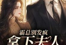 霸总别发疯，拿下夫人才要紧这本小说完结了吗？免费查看最新章节-红梅文学