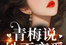 齐时桉楚澄小说免费阅读完整版-红梅文学