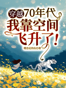 完结版《穿越70年代，我靠空间飞升了！》章节阅读