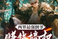 完整版的两界最强倒爷,赚钱搞权夺天下小说在哪里可以免费读到?-红梅文学