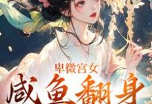 卑微宫女，咸鱼翻身成宠妃这本小说怎么样？免费在线阅读试试-红梅文学