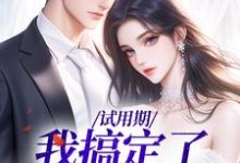 完结版《试用期，我搞定了上司》免费阅读-红梅文学