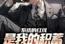 小说完整版《系统的红线,是我的积蓄不超一万块》免费阅读-红梅文学