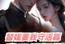 替嫁要我守活寡，我三年抱俩小说，替嫁要我守活寡，我三年抱俩在线阅读-红梅文学