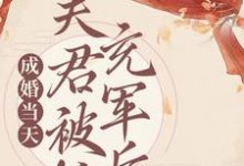 成婚当天,夫君被抓充军后谢皎小说免费阅读-红梅文学