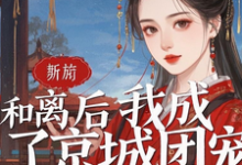 已完结小说《和离后我成了京城团宠》在线章节阅读-红梅文学