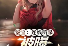 鉴宝：连线听泉，被曝满门忠烈？这本小说怎么样？免费在线阅读试试-红梅文学