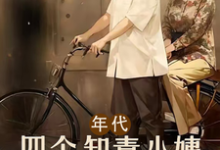 年代:四个知青小姨扶我青云志章节免费在线阅读,陈俊生沈晚秋完结版-红梅文学