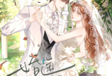 小说《婚途明媚》在线章节阅读-红梅文学