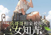 兵哥哥相亲被拒,女知青毛遂自荐章节免费在线阅读,叶书宜陆从越完结版-红梅文学