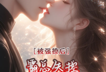 被强撩后霸总失控,天天盼天黑这本小说怎么样?免费在线阅读试试-红梅文学