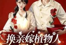 换亲嫁植物人军官后，我一胎三宝完整版小说，换亲嫁植物人军官后，我一胎三宝最新章节-红梅文学