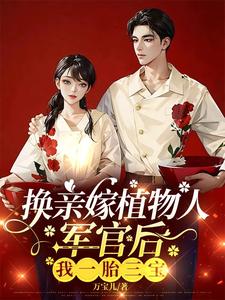 换亲嫁植物人军官后，我一胎三宝完整版小说，换亲嫁植物人军官后，我一胎三宝最新章节