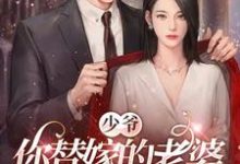 少爷,你替嫁的老婆原来是大佬完整版小说,少爷,你替嫁的老婆原来是大佬免费阅读-红梅文学