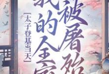 安容锦姜卿云小说免费阅读完整版-红梅文学