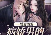 免费在线阅读禁爱囚笼:病娇男的独占欲小说的正规网站有哪些?-红梅文学