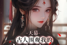 天幕:古人围观我的咸鱼生活最新章节,天幕:古人围观我的咸鱼生活免费阅读-红梅文学