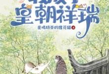 心声泄漏后,我成了皇朝祥瑞皇甫清依沐清一小说大结局免费试读-红梅文学