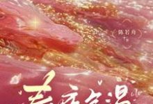 春夜余温小说的免费阅读版本在哪里可以找到?-红梅文学