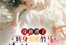 已完结小说《没劲透了，转身勾搭竹马首辅小叔》最新章节-红梅文学