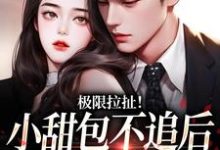 极限拉扯!小甜包不追后男神他慌了章节免费在线阅读,姜至季川完结版-红梅文学