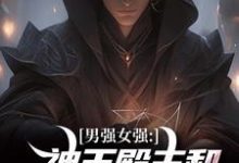 《男强女强:神王殿主和女特工闪婚了》全集免费在线阅读(林晨叶寒霜)-红梅文学